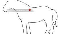 sagoma cavallo pasqua 1