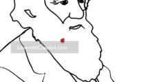 darwin day