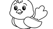 uccellino