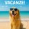 buone vacanze mare