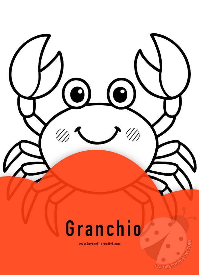 granchio disegno