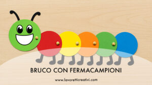 bruco snodino