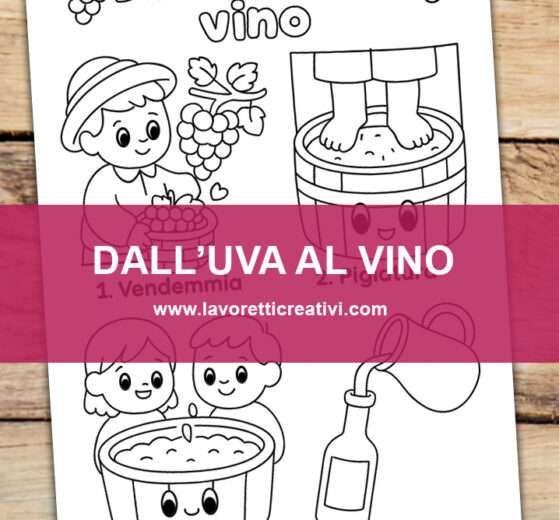 Dall'uva al vino Scuola Infanzia 8 uva vino disegni