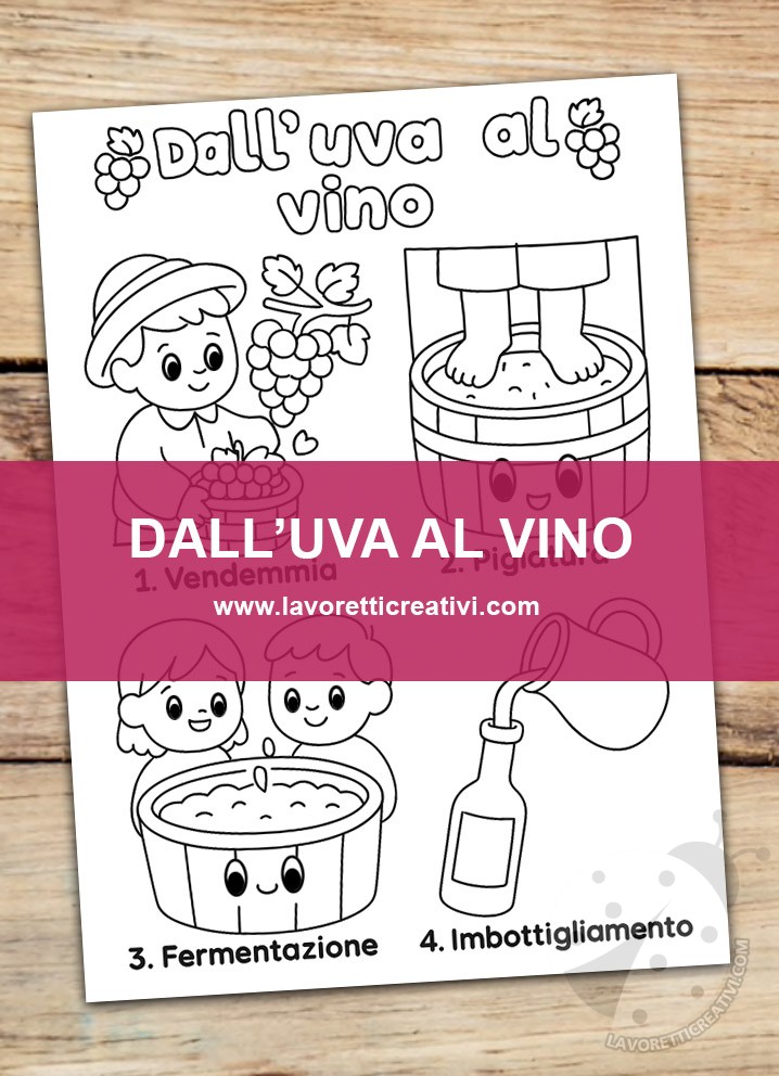 uva vino disegni