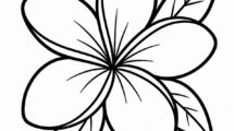 plumeria disegno