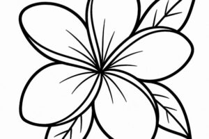 plumeria disegno