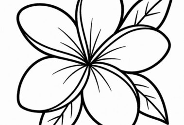 plumeria disegno