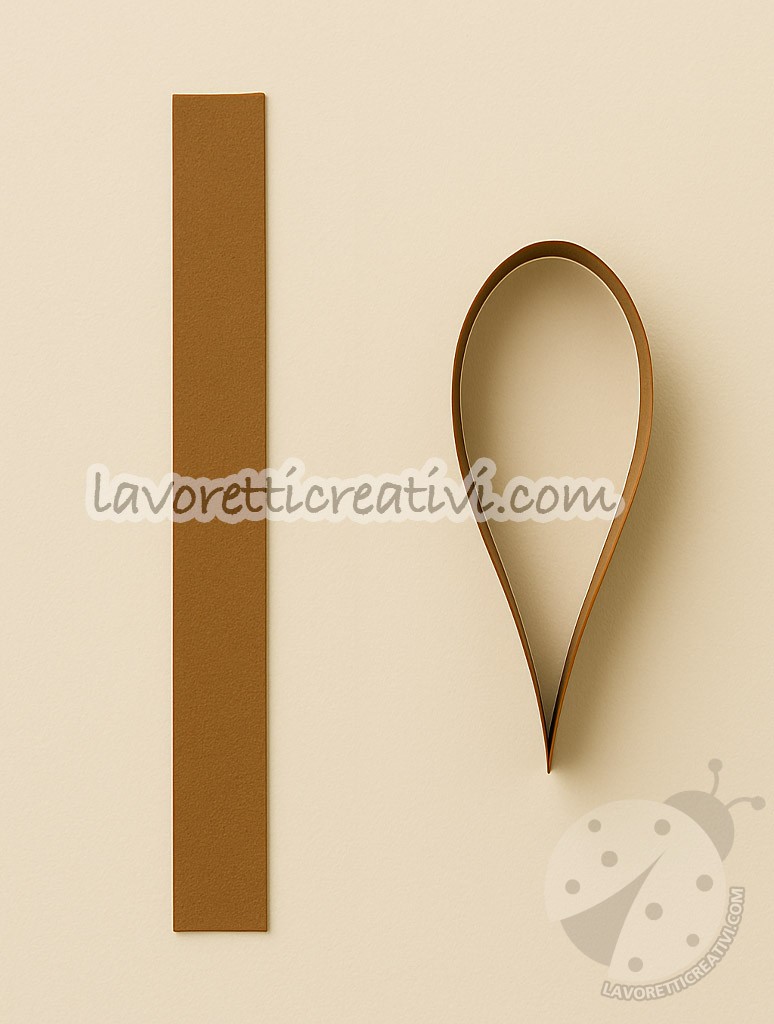 aculei carta 3d