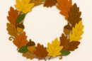corona autunnale