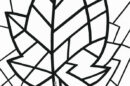 foglia autunnale cubista disegno