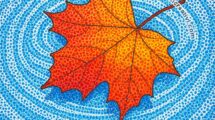foglia autunno sull acqua 1