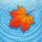 Foglia d’autunno sull’acqua 1 foglia autunno sull acqua 1