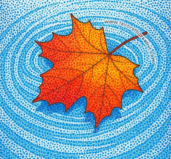 foglia autunno sull acqua 1