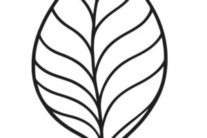 foglia stilizzata da colorare 1