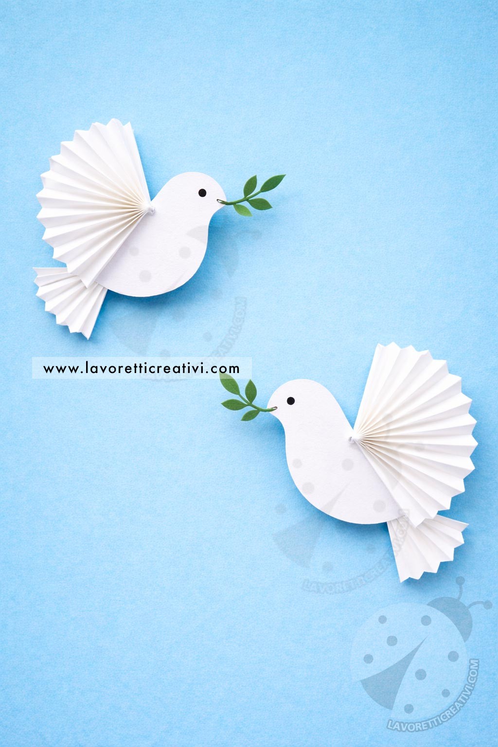 colombe ali ventaglio