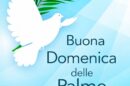 domenica delle palme colomba