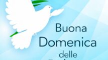 domenica delle palme colomba