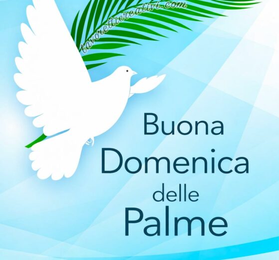 domenica delle palme colomba