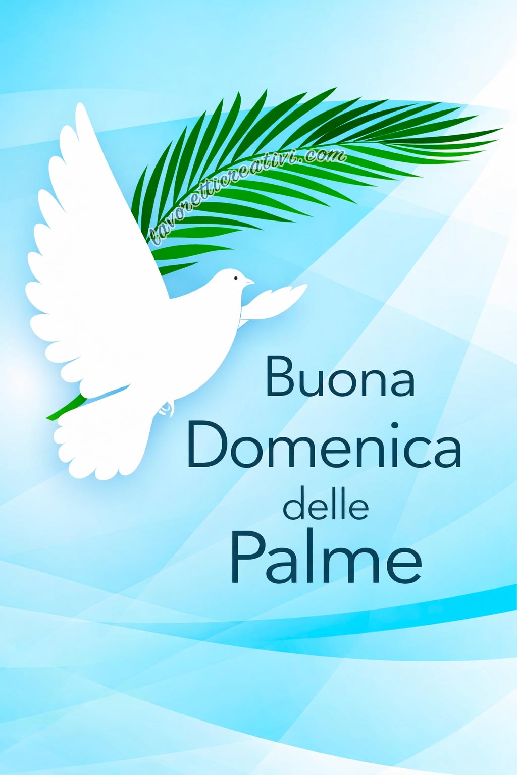 domenica delle palme colomba