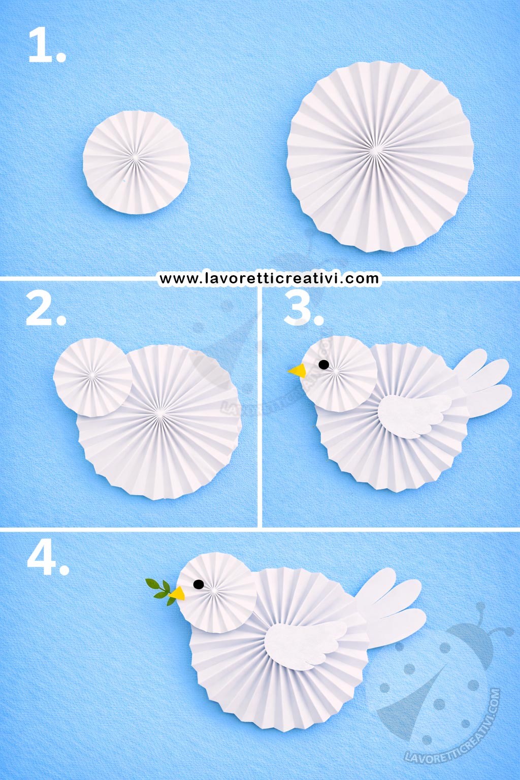 passaggi colomba rosoni di carta