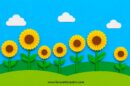 campo di Ggirasoli di carta