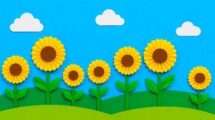 campo di Ggirasoli di carta