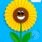 girasole a ventaglio