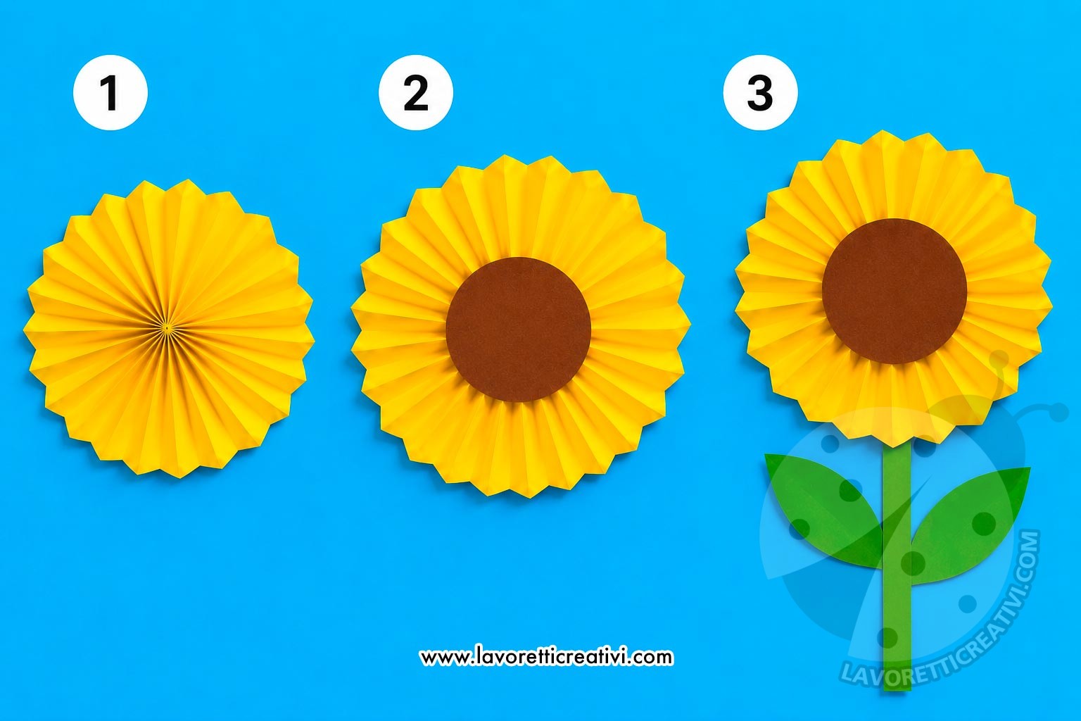 girasole di cartoncino passaggi